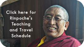 Rinpoche's Schedule